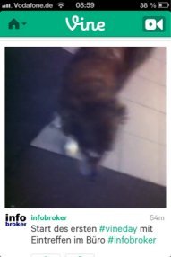 vineday-28-01-2012-2