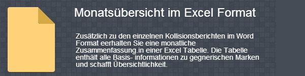 markenueberwachung-excel-monatsbericht